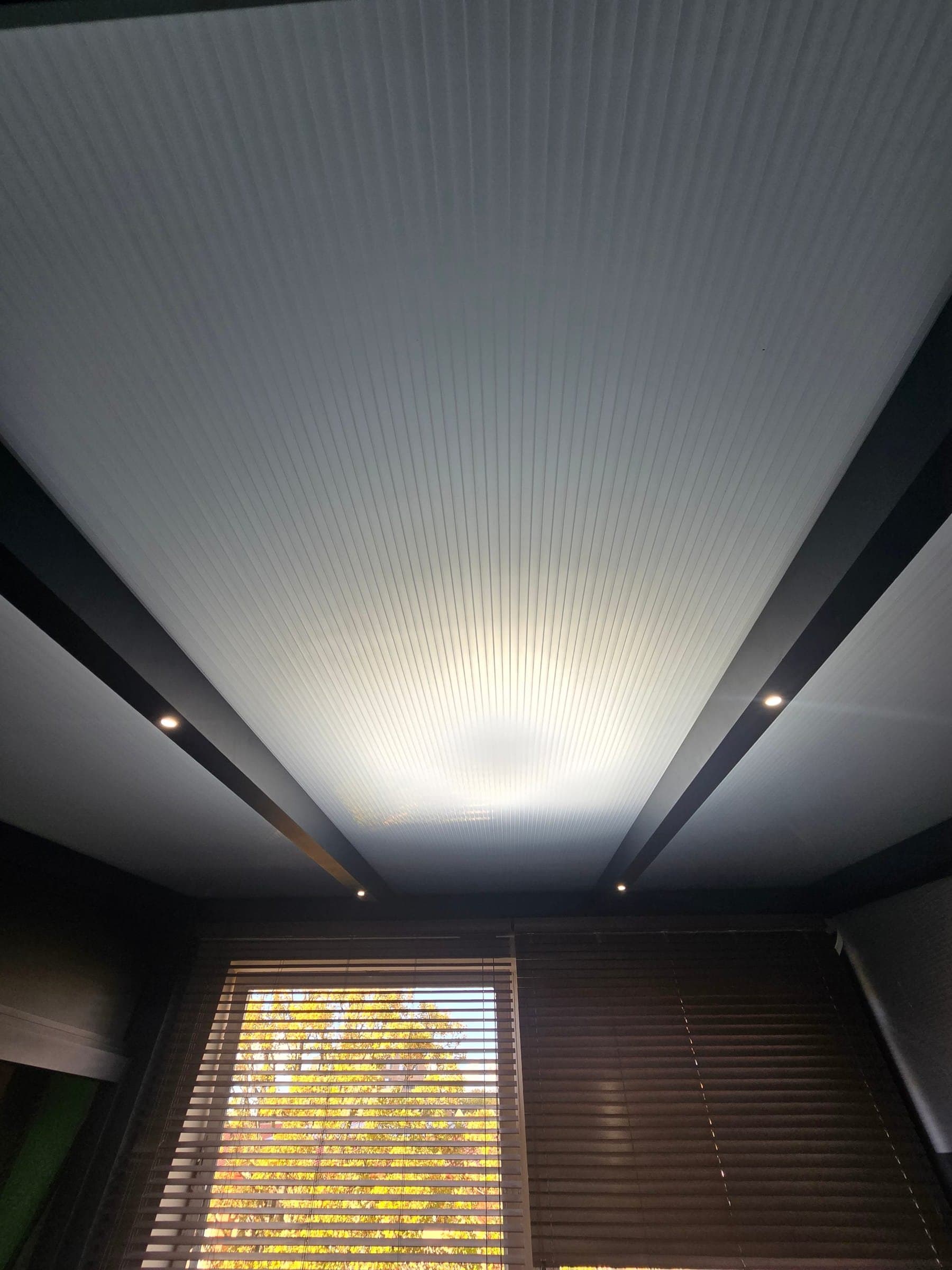 LED spotlights set into aluminium roof rafters under a polycarbonate veranda roof